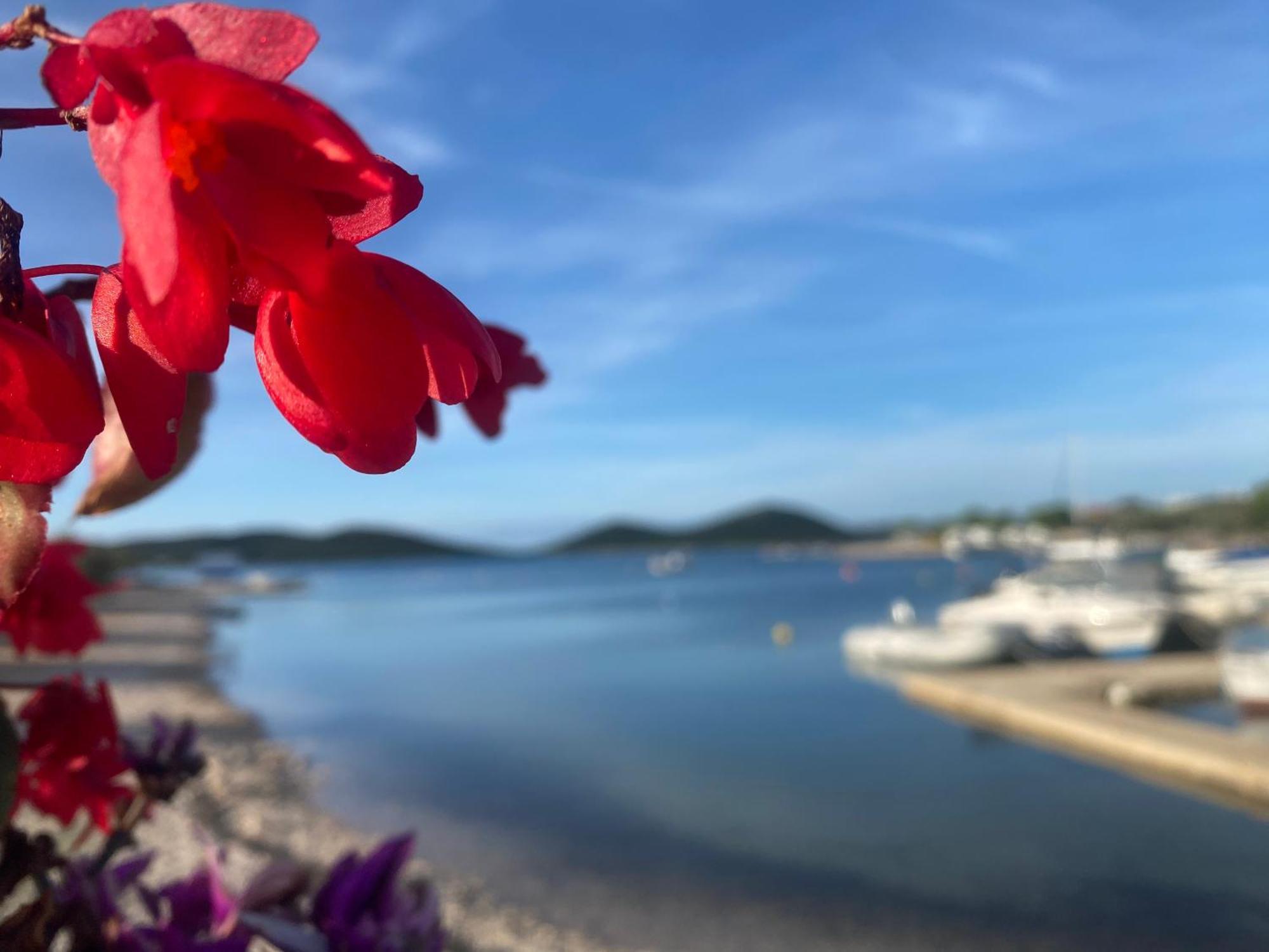 Amore Del Mare, Seaside Family Pace, Free Parking And Wifi In Camp Dalmatino Drage Exteriör bild